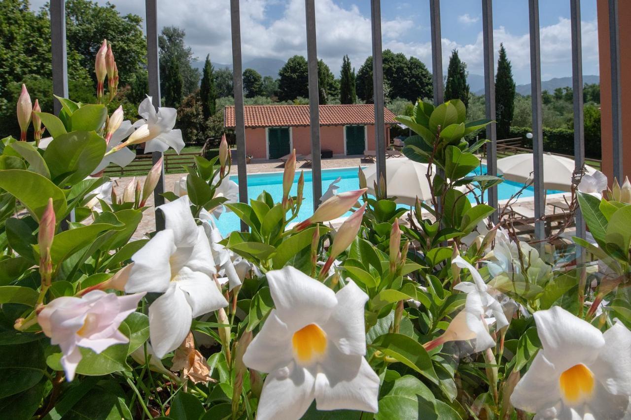 Relais Villa Isabel Pietrasanta Kültér fotó